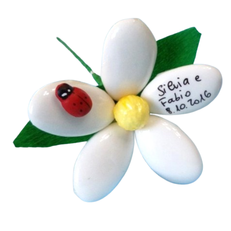 fiori-di-sulmona-margherita