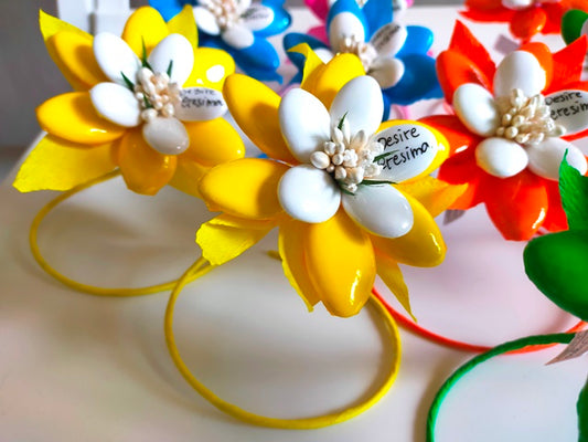 Stella Alpina bicolore