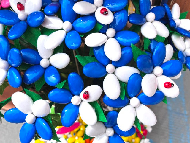 Margherita Bicolore Blu e Bianca Forma Mandorla
