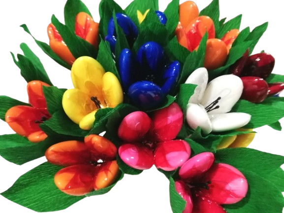 Tulipano